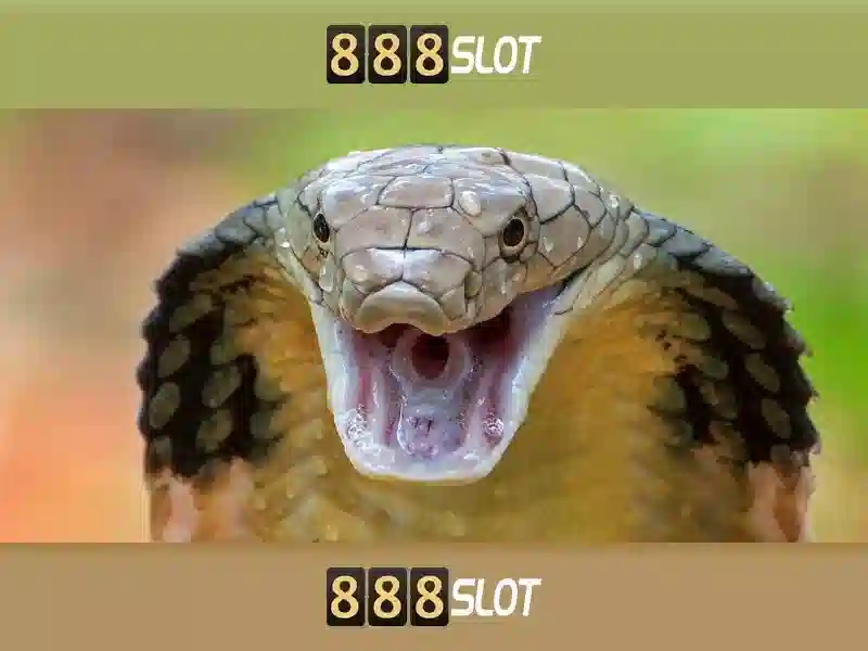 💎keo nha cai anh💎