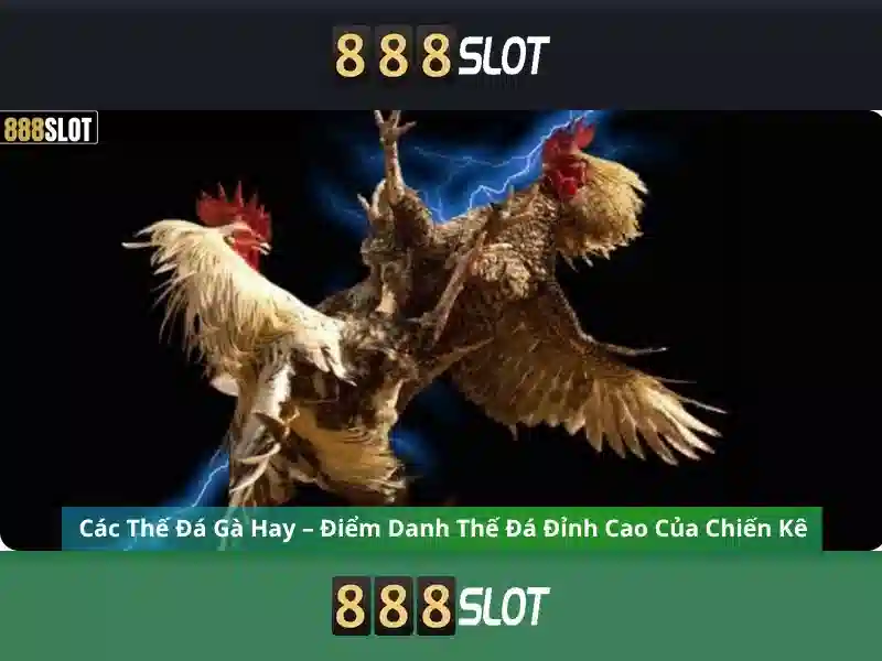 💎đăng nhập slot365💎 - slot365 đăng nhập - slot365 tải app ios