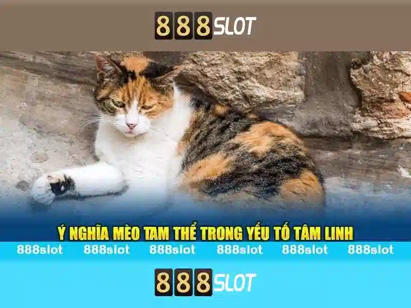 💎sòng bạc macau💎