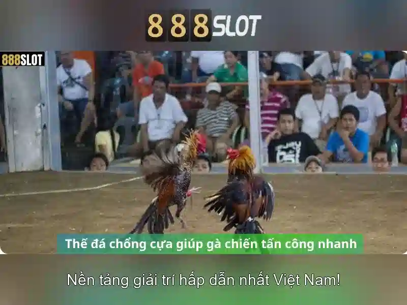 💎nha cai uy tin topnhacai💎