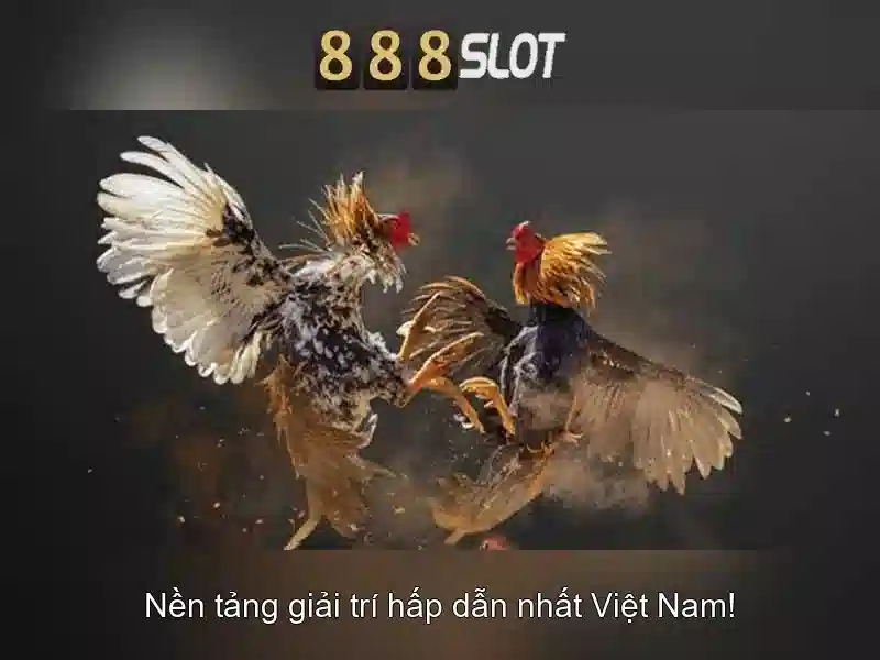 💎number king hb88💎